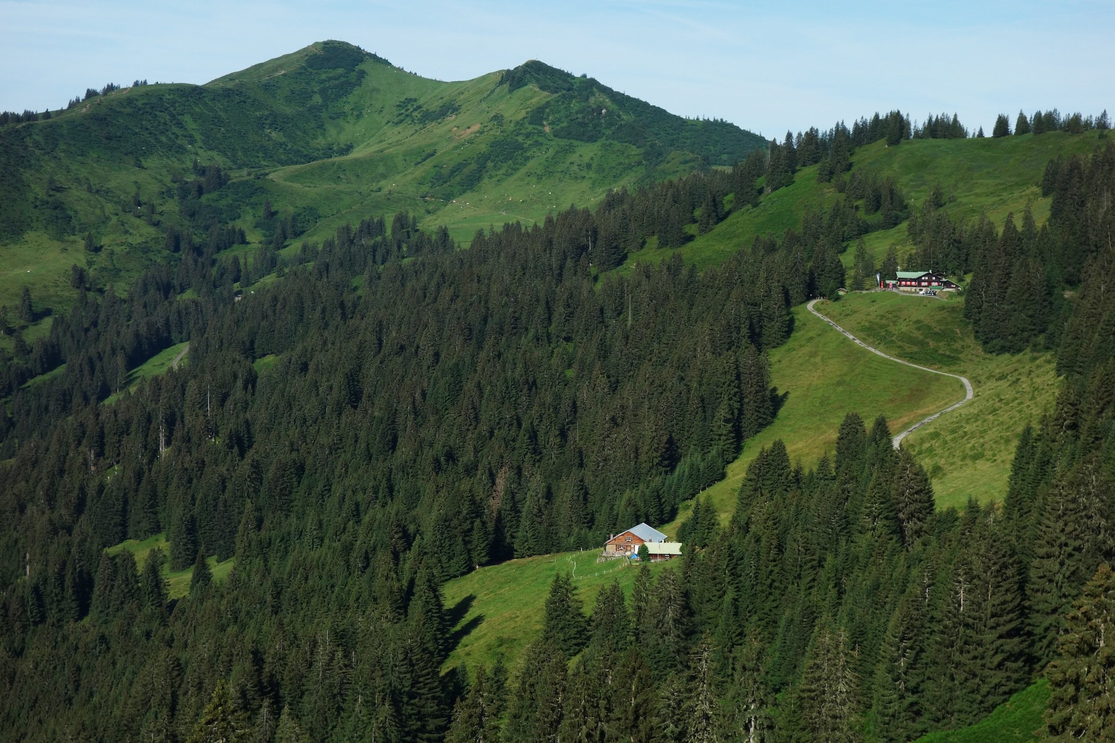 Kolumne – Das ist ja der Gipfel #2: Skischaukel am Riedberger Horn - sommerliches Naherholungs- und Naturschutzgebiet (© Deutscher Alpenverein)
