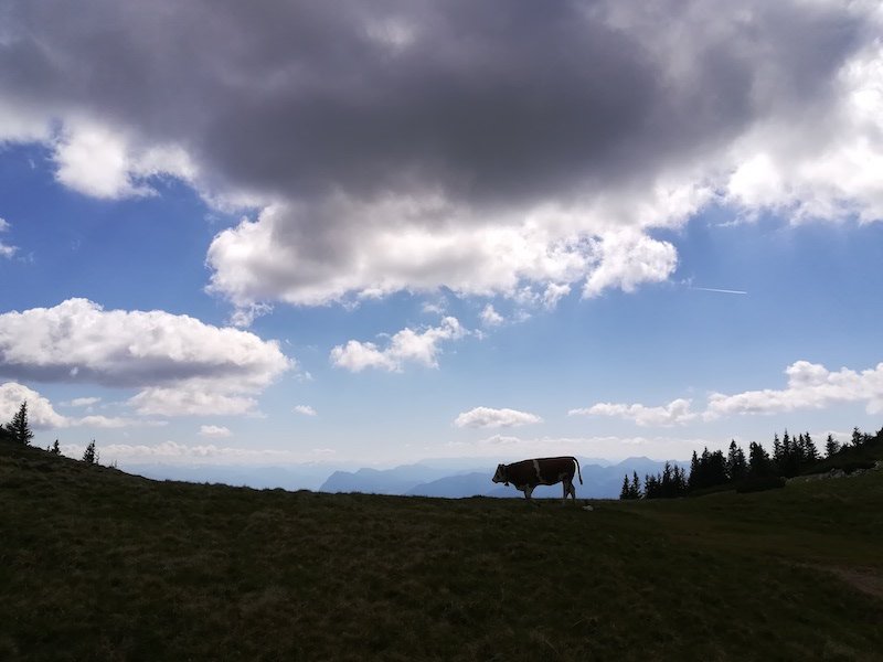 Ziele - Geigelstein (1.808m): Bergtour inkl. "Weitlahnerkopf-Reibn" in den Chiemgauer Alpen