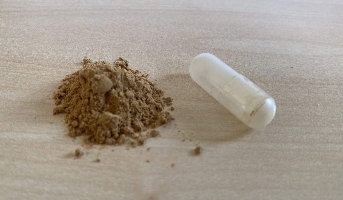 Ratgeber - Hifas da Terra: Vitalpilze als Nahrungsergänzungsmittel für mehr Wohlbefinden bis ins hohe Alter