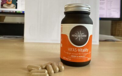 Ratgeber – Hifas da Terra: Vitalpilze als Nahrungsergänzungsmittel für mehr Wohlbefinden bis ins hohe Alter