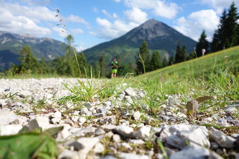Eventbericht – Columbia Hike & Run 2017 Achensee: Entspanntes Laufvergnügen auf knackigen Trails rund um Tirols größten Bergsee