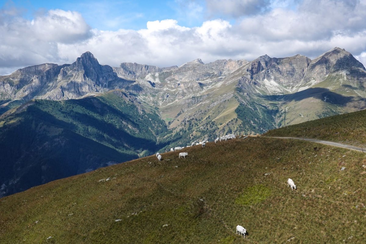 Reisebericht – Valle Maira: Bella Italia mal anders - der Piemontkirsche auf der Spur