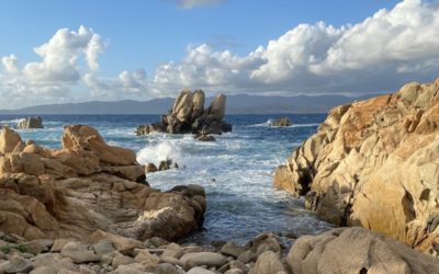Ziele – Korsika: Mit dem Camper-Van und zu Fuß einmal quer durch die französische Mittelmeerinsel – ein Reisebericht