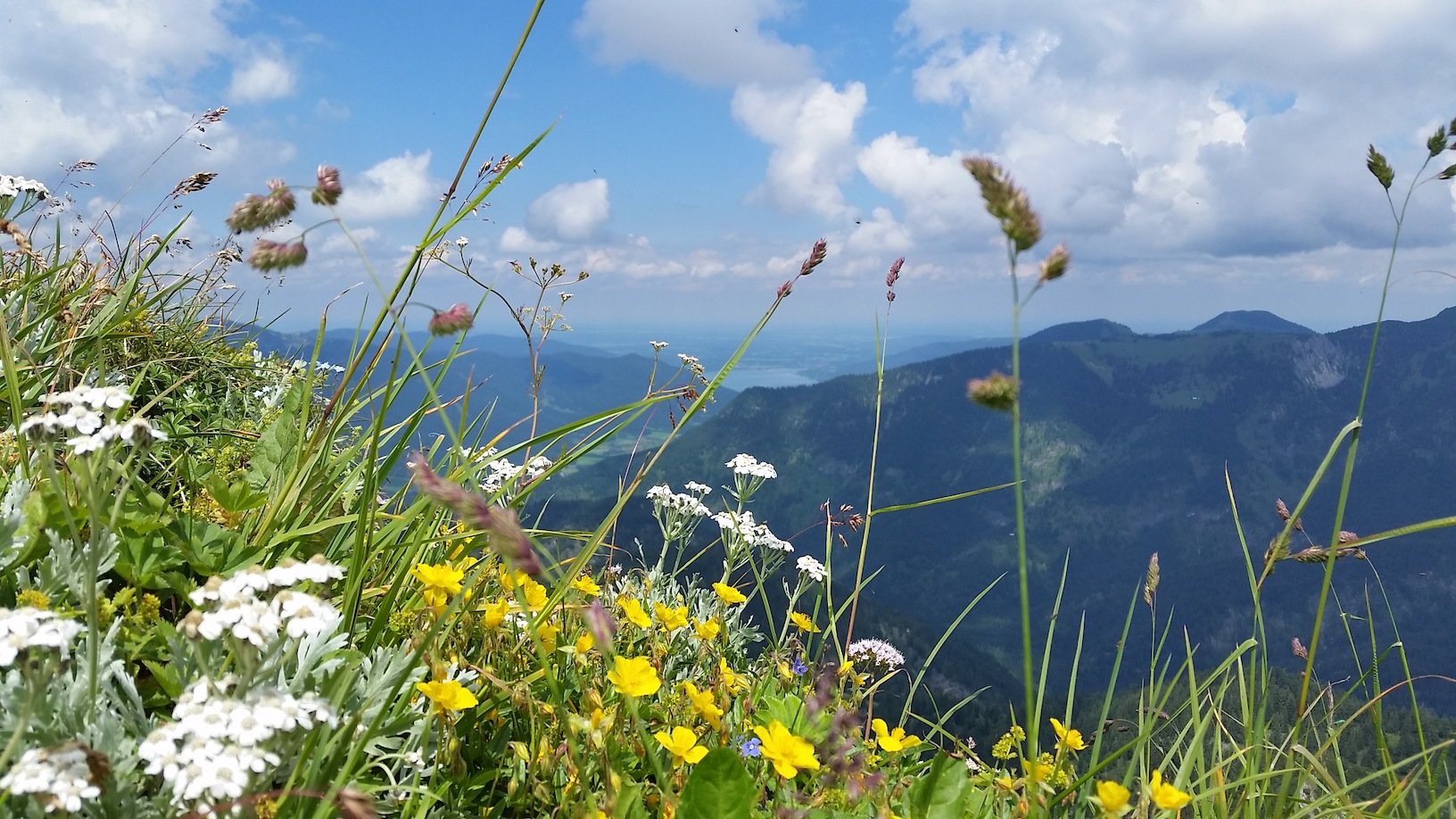 Ziele – Halserspitz (1.862m): Mittelschwere Rundtour auf den höchsten Gipfel der Blauberge