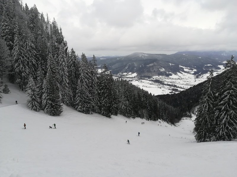 Ziele - Unternberg (1.425 m): Leichte und relativ sichere Skitour auf den Hausberg von Ruhpolding