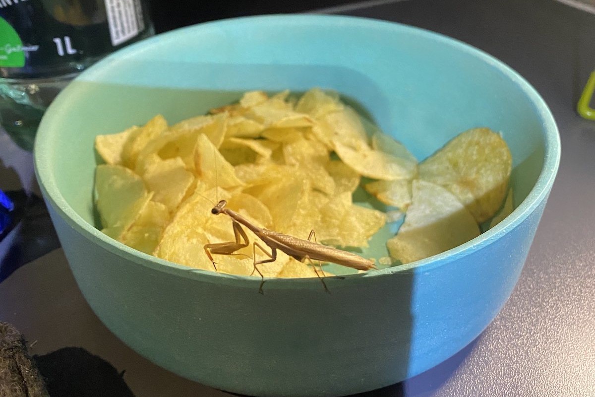 Ziele - Korsika: Mit dem Camper-Van und zu Fuß einmal quer durch die französische Mittelmeerinsel - ein Reisebericht 48 Ziele - Korsika: Mit dem Camper-Van und zu Fuß einmal quer durch die französische Mittelmeerinsel - ein Reisebericht