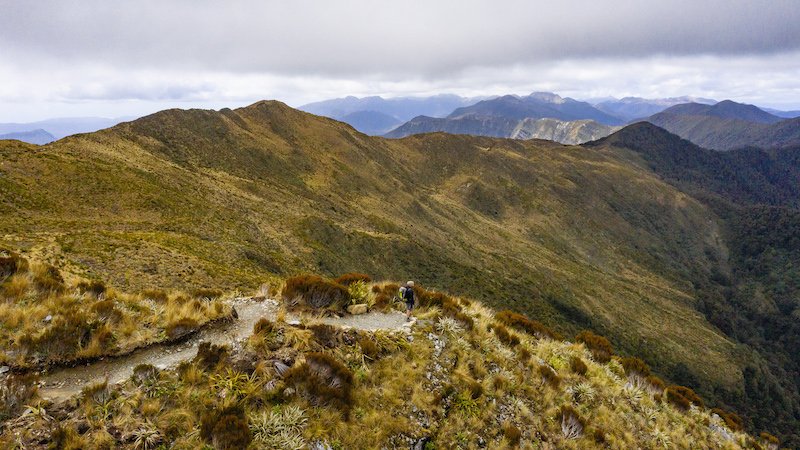 Ziele - Neuseeland: Nach 25 Jahren wird mit dem "Paparoa Track" ein neuer Great Walk eröffnet