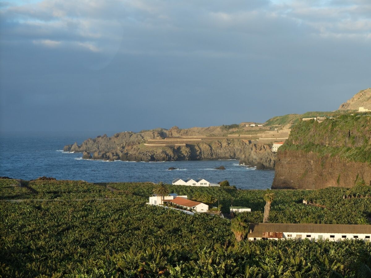 Ziele - Teneriffa: Ein Reisebericht über Spaniens größte kanarische Insel im Atlantik 16 Ziele - Teneriffa: Ein Reisebericht über Spaniens größte kanarische Insel im Atlantik