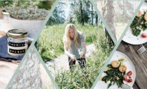 Rezension - SüdWest Verlag / Sonja Greimel: Raus in die Botanik - praktisches Handbuch zur Bestimmung von Wildpflanzen und Heilkräutern