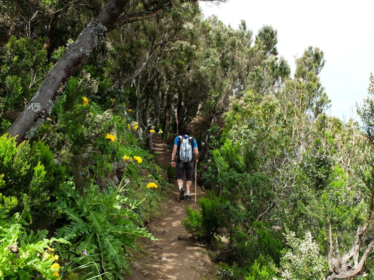 Ziele - Teneriffa: Ein Reisebericht über Spaniens größte kanarische Insel im Atlantik 11 Ziele - Teneriffa: Ein Reisebericht über Spaniens größte kanarische Insel im Atlantik