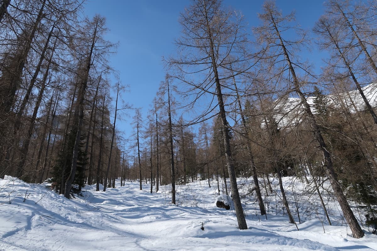 Ziele - Drittes Kind (2.165m): Landschaftlich spektakuläre und etwas überlaufene Skitour im Watzmannkar