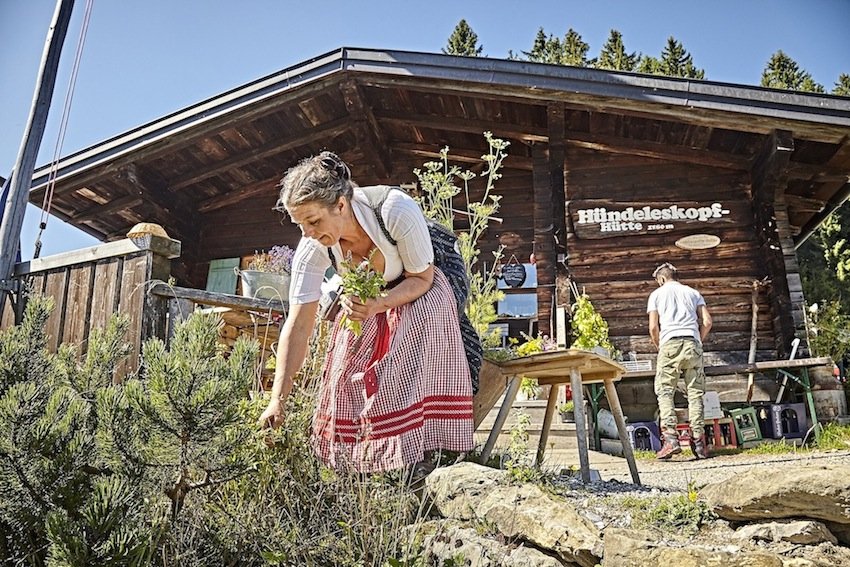 Ziele - Hündeleskopfhütte im Allgäu (1.180m): Zuchinilasagne statt Leberkas – Bayerns erste vegetarische Almhütte
