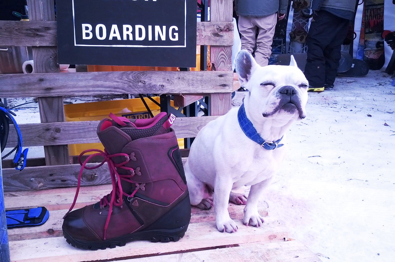 ISPO-Preview – Shops 1rst Try 2014: Die neuesten Snowboard-Highlights für die Wintersaison 2015/16