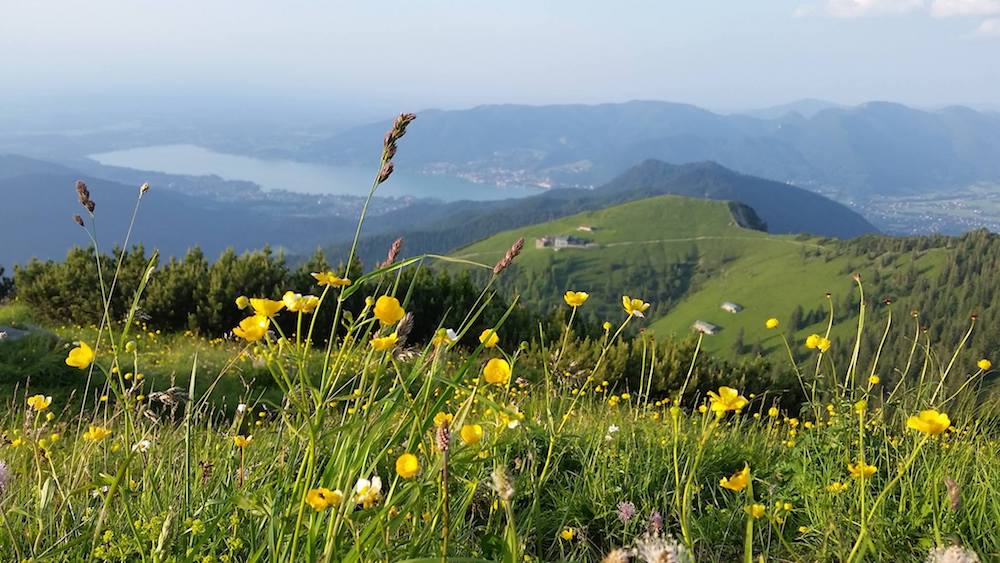 Ziele – Bayerische Alpen: Die beliebtesten 7 Wandertouren der aF-Redaktion für den Frühling