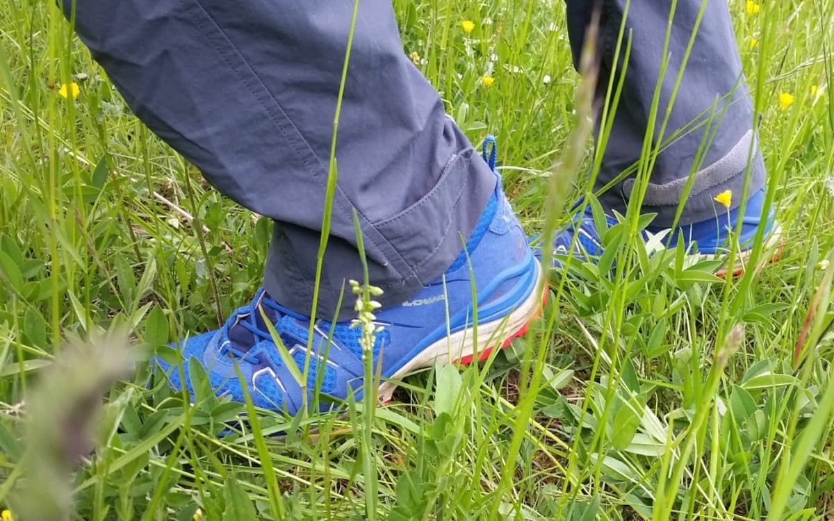 Testbericht - Lowa Focus LL Lo: Superbequemer, mutlifunktionaler und halbhoher Wanderschuh