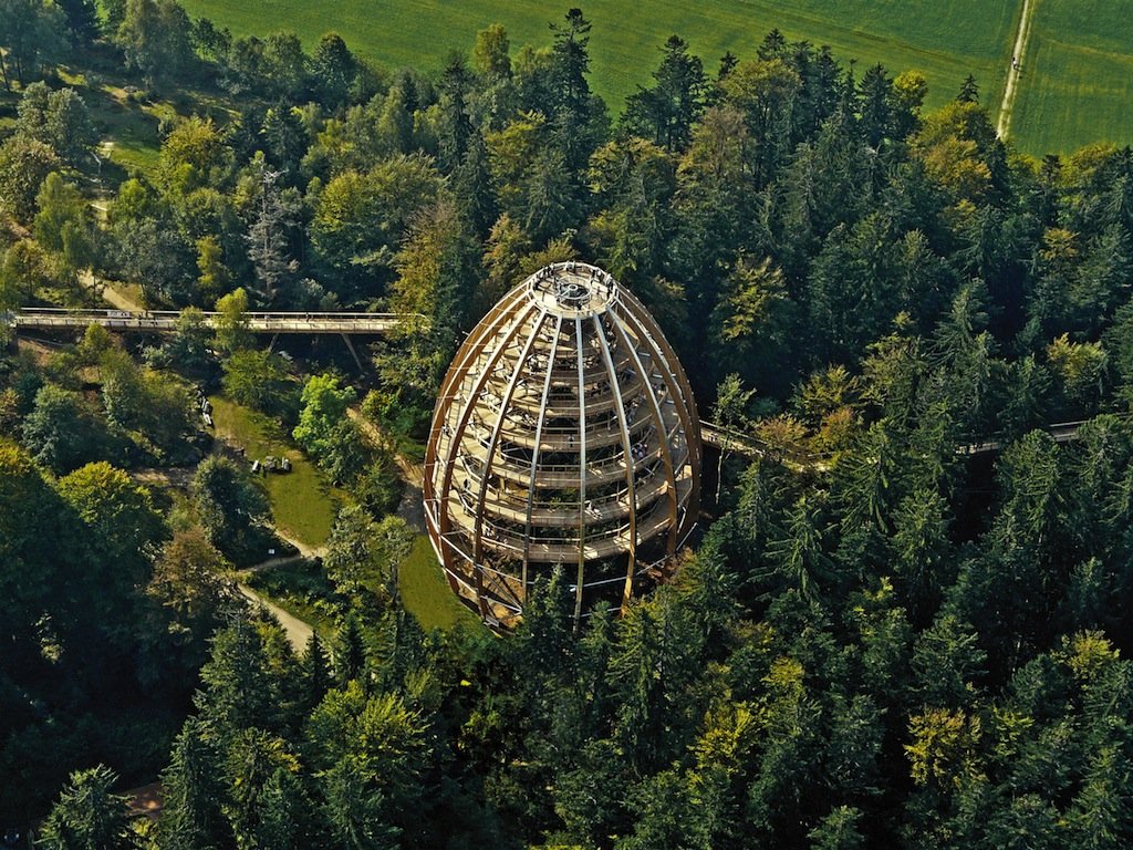 Interview - Christian Kremer: Baumwipfelpfad Bayerischer Wald (© Erlebnis Akademie AG)