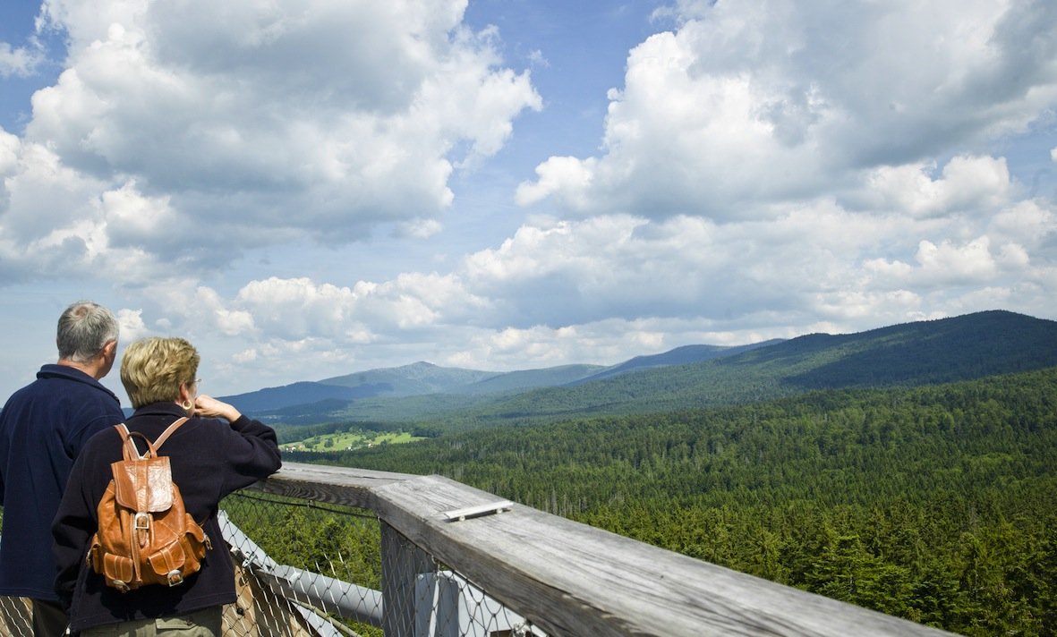 Interview - Christian Kremer: Baumwipfelpfad Bayerischer Wald (© Erlebnis Akademie AG)