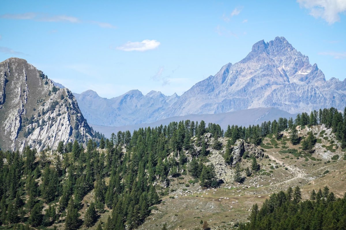 Reisebericht – Valle Maira: Bella Italia mal anders - der Piemontkirsche auf der Spur