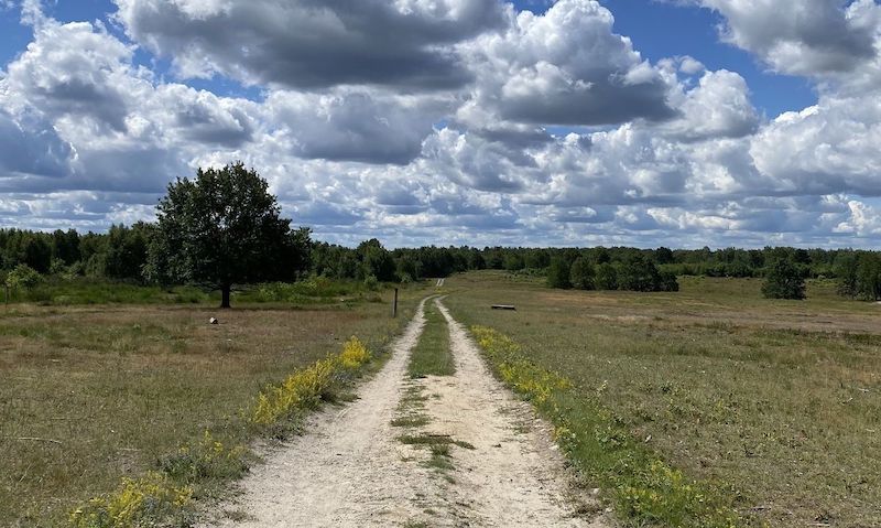 Ziele - Holidu.com & AllTrails.com: Die 7 mit Abstand schönsten Wandertouren in Deutschland