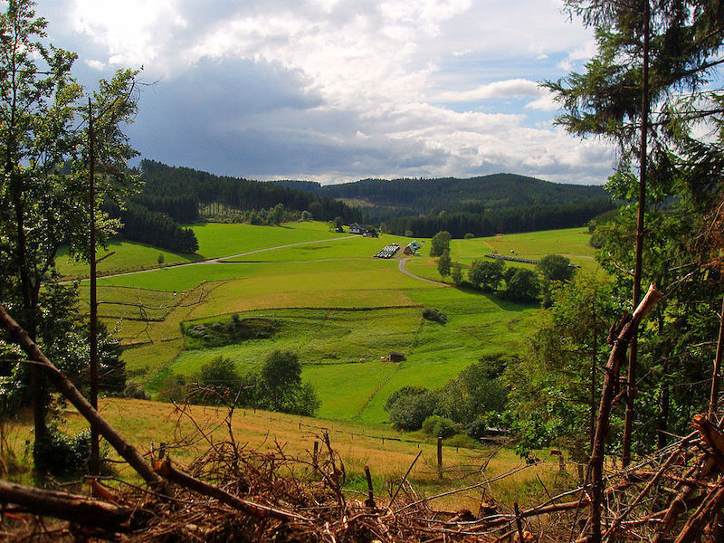 Ziele - Holidu.com & AllTrails.com: Die mit Abstand schönsten Wandertouren in Deutschland