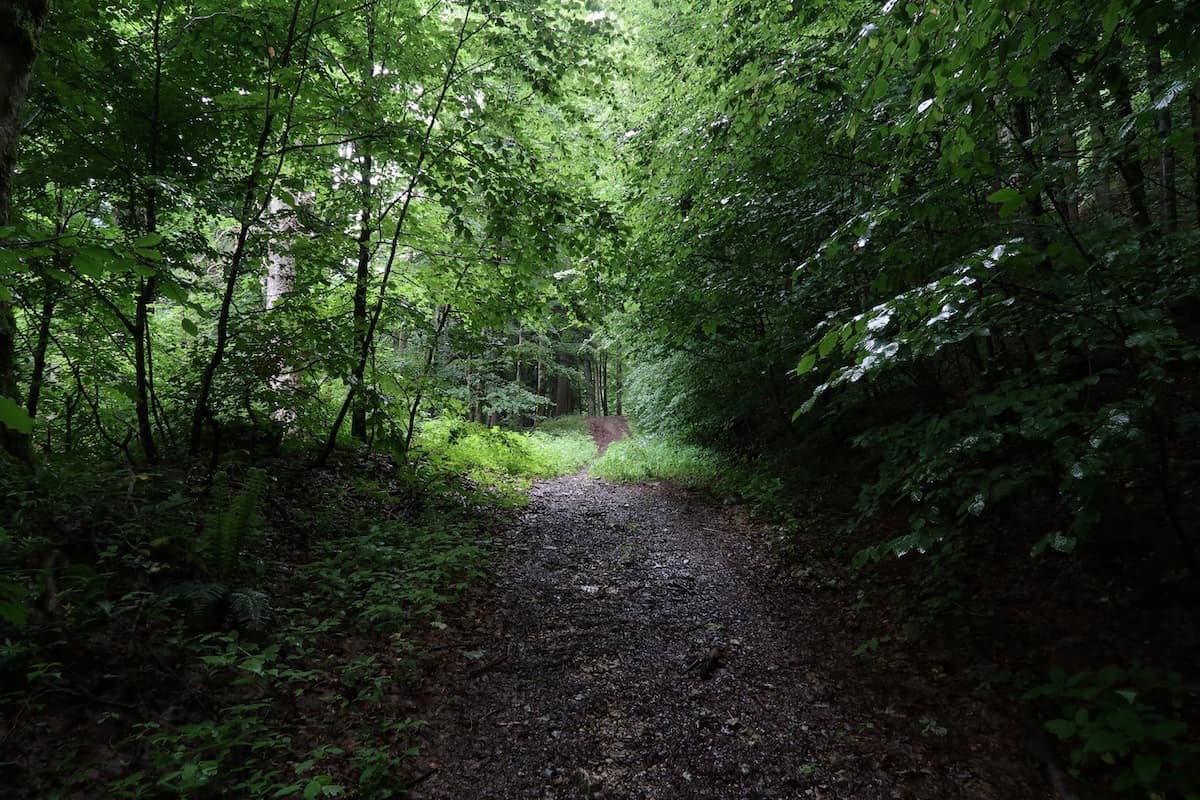 Ziele - Rudersburg (1.434m): Mittelschwere Bergtour im Achental der Chiemgauer Alpen