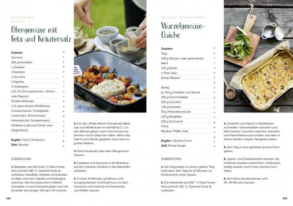 Rezension - SüdWest Verlag / Sonja Greimel: Raus in die Botanik - praktisches Handbuch zur Bestimmung von Wildpflanzen und Heilkräutern