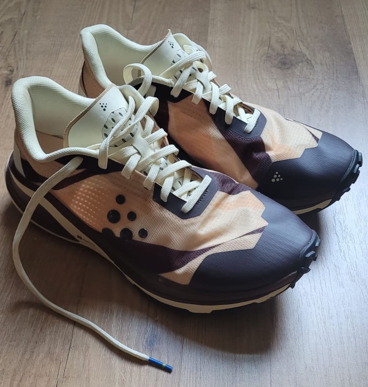 Testbericht - CRAFT Pure Trail Pro: Schneller und leichter Laufschuh mit Abzügen in der "P-Note"